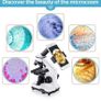 100X-2000X Microscope for Kids Students Adults, with Microscope Slides Kit, Professional Microscopes for School Laboratory Home Biological Education (FREE POSTAGE) Image 6
