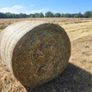 Hay Organic Hay Image 3