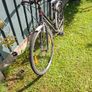 ladies bicycle Image 4
