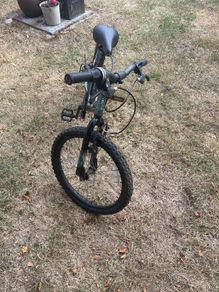 Free kids bike