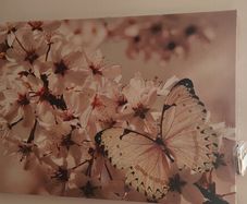Matching Set of 2 Canvas Wall Art Prints