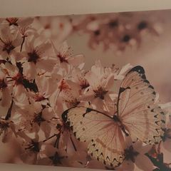 Matching Set of 2 Canvas Wall Art Prints