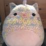 Squishmallows Image 2