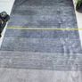 rug Image 3