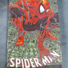 Spiderman by Todd McFarlane