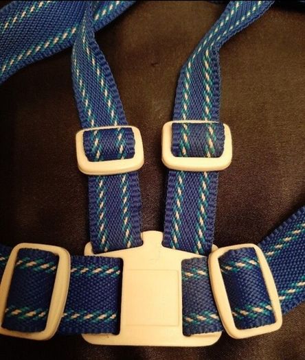New vintage childs harness & Reins