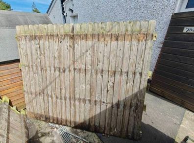 10 free fence panels and some posts