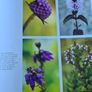 The Fertile Rock. Seasons In The Buren. By Carsten Kriegar.. Beautiful  Photographic  Seens Of The Buren. LARGE VOLUME BOOK. Image 10