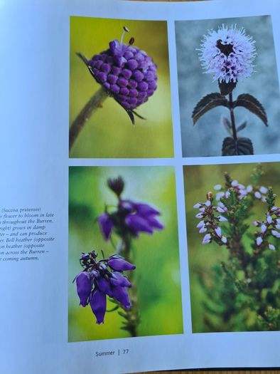 The Fertile Rock. Seasons In The Buren. By Carsten Kriegar.. Beautiful  Photographic  Seens Of The Buren. LARGE VOLUME BOOK.