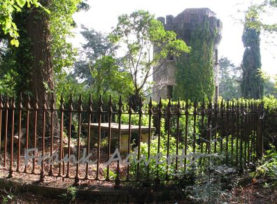 Mounted Original Photography - Powerscourt Cemetery, Wicklow