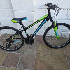 Boys mountain bike 24"