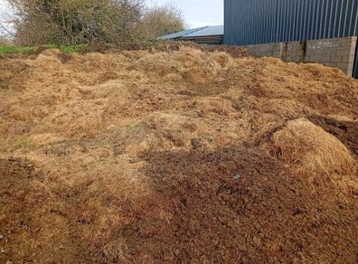 Manure