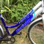 Hybrid Bike Image 5