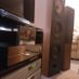 Damienbw604s2