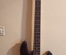 Electric bass guitar