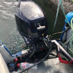 Tohatsu fisherman 15hp battery and pull start