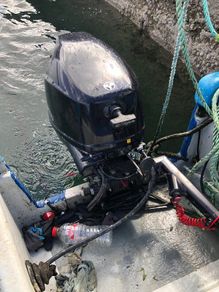 Tohatsu fisherman 15hp battery and pull start