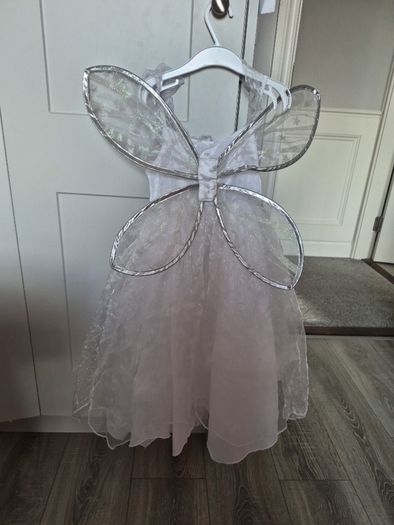 Fairy dress & wings