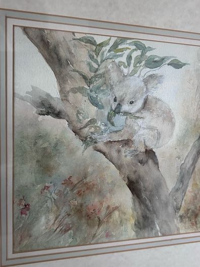 Original Watercolour by Sn. Declan Allen, title Koala