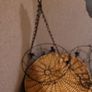 hanging baskets Image 5
