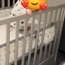Grey Cot Image 3