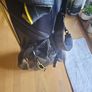 Golf Bag Image 5