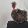 Purebred Finnish Silkie Cockerel Image 3
