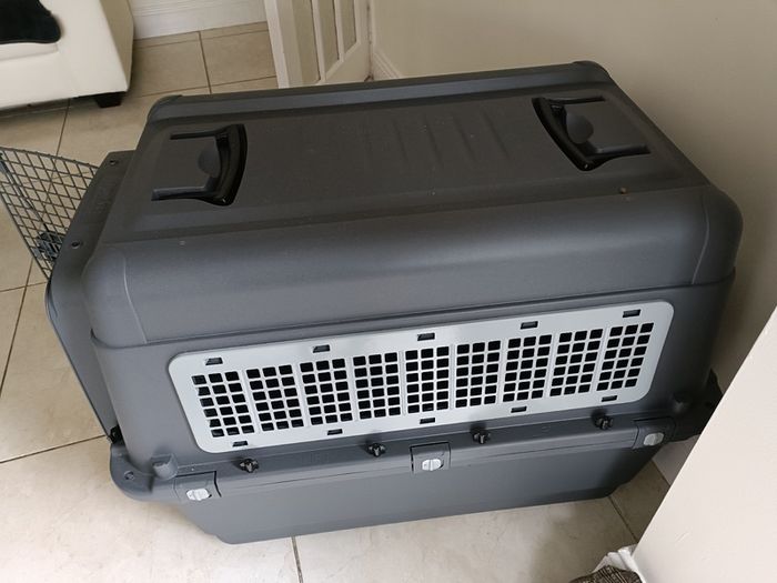 Large dog Transport Box