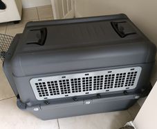 Large dog Transport Box