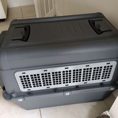 Large dog Transport Box