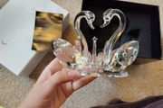 Crystal Swan family