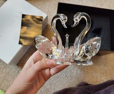Crystal Swan family
