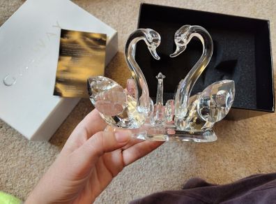 Crystal Swan family