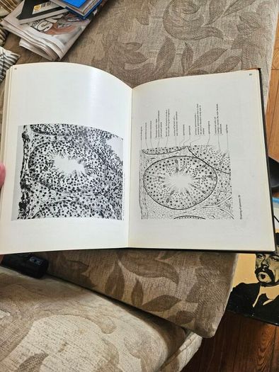 An Atlas Of Histology. By W.h. Freeman And Brian Bracegirdle. Second Edition Large Volume Hardback With Dustjacket.  Book In Good Condition.  Dustjacket Tatty.  See Photos For Same.