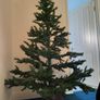 Christmas tree Image 2