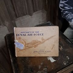 Vintage Aircraft Royal Air Force