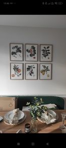 Frames botanical fruit prints (separately or as part of a set)