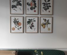 Frames botanical fruit prints (separately or as part of a set)
