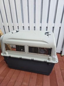 Dog Travel Crate