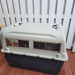 Dog Travel Crate