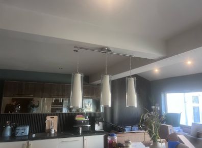 lStunninh Ceiling Light