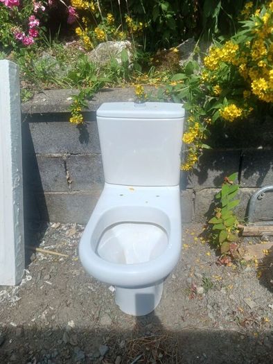 toilet and basin