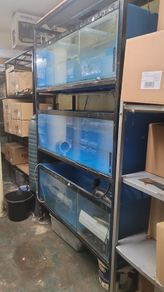 aquarium rack