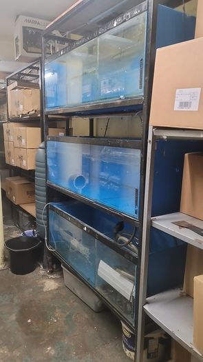 aquarium rack