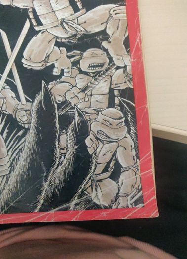 Teenage Mutant Ninja Turtles 1 (1988) 5th print
