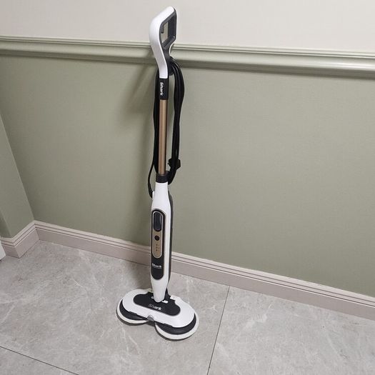Steam and scrub mop