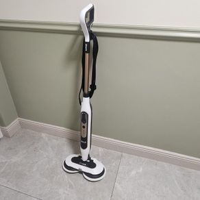 Steam and scrub mop