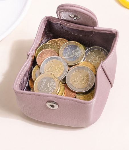 Mini coun purse / key holder
