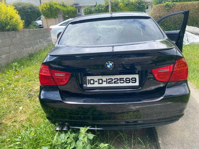 2010 Bmw 318