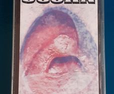 Scorn